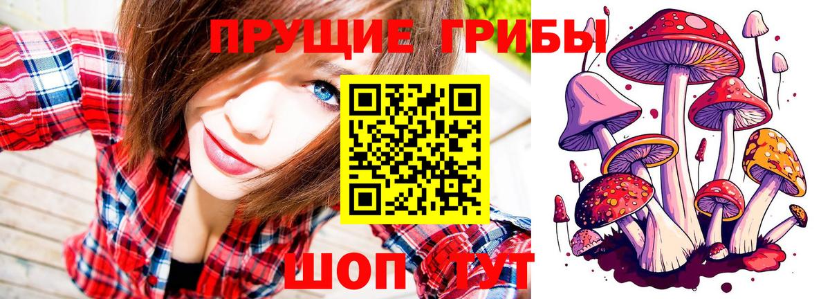Узловая  Псилоцибиновые грибы GOLDEN TEACHER  Вход с VPN 